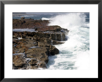 Cape Of Good Hope, National Park, Near Cape Town, South Africa, Africa by Thorsten Milse Pricing Limited Edition Print image