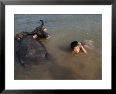 A Boy Bathes With His Water Buffalo In The Mekong River, Near Kratie, Eastern Cambodia, Indochina by Andrew Mcconnell Pricing Limited Edition Print image