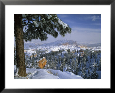 Bryce Canyon In Winter, Utah, Usa by Nancy Rotenberg Pricing Limited Edition Print image