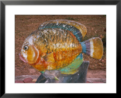 Decorative Fish In A Park Near Phuket, Thailand by Tom Haseltine Pricing Limited Edition Print image