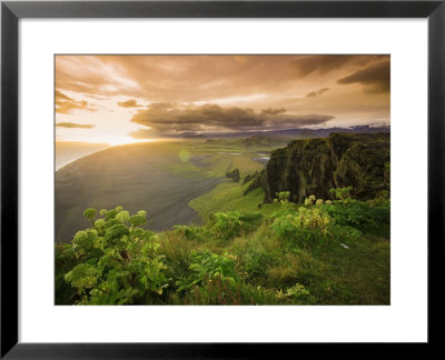 Black Sand Beach, Dyrholaey, South Coast, Iceland by Michele Falzone Pricing Limited Edition Print image
