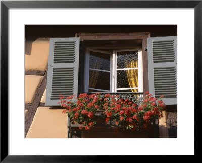 Close-Up Of Typical Window With Blue Shutters And Windowbox Full Of Geraniums, France by Guy Thouvenin Pricing Limited Edition Print image