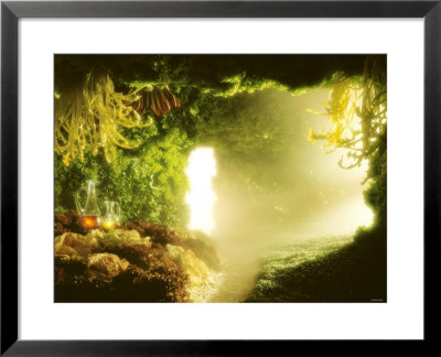 Cavern Of Various Lettuces by Hartmut Seehuber Pricing Limited Edition Print image