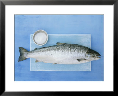Salmon With A Dish Of Sea Salt by Jan-Peter Westermann Pricing Limited Edition Print image
