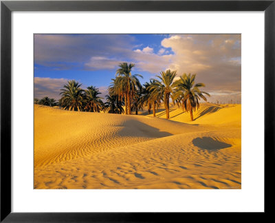 Sand Dunes And Oasis, Desert, Tunisia by Peter Adams Pricing Limited Edition Print image