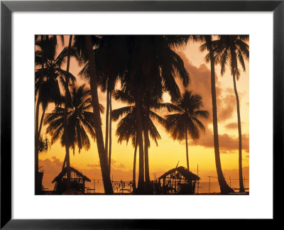 Palm Trees At Sunset, Zanzibar, Tanzania by Peter Adams Pricing Limited Edition Print image