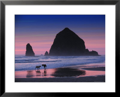 Dogs On Cannon Beach by Jody Miller Pricing Limited Edition Print image