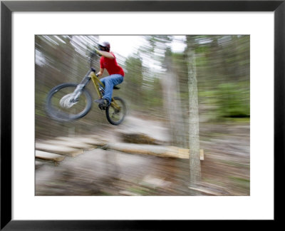 Mountain Biker Riding Stunts In Whitefish, Montana, Usa by Chuck Haney Pricing Limited Edition Print image