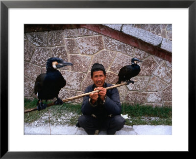 Fisherman With His Fishing Cormorants, Guangzhou, China by Chris Mellor Pricing Limited Edition Print image