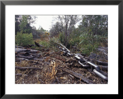 Steel Chain Landclears Trees And Foliage For Agricultural Farmland, Australia by Jason Edwards Pricing Limited Edition Print image