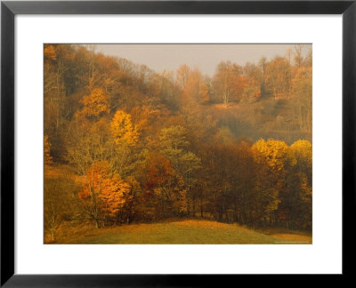 Morning View Of Autumn Colors In The Jefferson National Forest by Raymond Gehman Pricing Limited Edition Print image