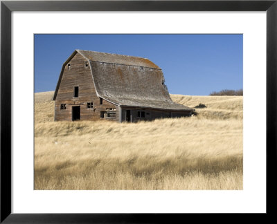 Dilapidated Barn Near Cabri, Saskatchewan, Canada by Pete Ryan Pricing Limited Edition Print image