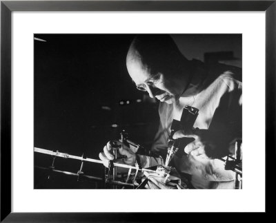 Dr. Melvin H. Knisely Using A Quartz Rod To Conduct Light Into A Frog's Organs To Observe Blood by Fritz Goro Pricing Limited Edition Print image