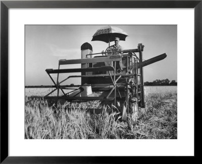 Farmer Emerson Hurich Harvesting Barley On His Farm With New Self Propelled Combine by Alfred Eisenstaedt Pricing Limited Edition Print image