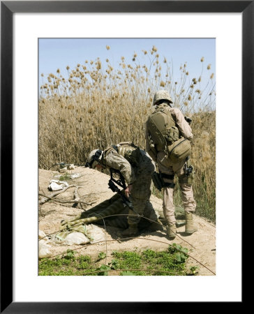 Marines Search Around An Iraqi Home North Of Hit, Iraq, March 9, 2007, For Weapons Caches by Stocktrek Images Pricing Limited Edition Print image