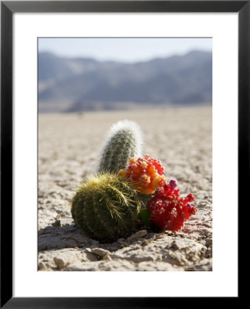 The Racetrack Point, Death Valley National Park, California, Usa by Angelo Cavalli Pricing Limited Edition Print image