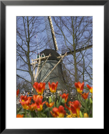 Windmill With Tulips In Keukenhof Gardens, Amsterdam, Netherlands by Keren Su Pricing Limited Edition Print image