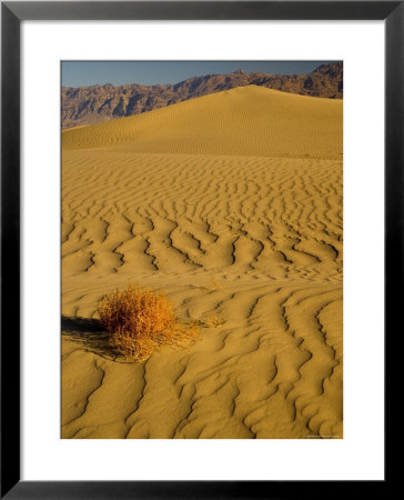 Sand Dunes In Morning Light, Mesquite Flats, Death Valley National Park, California, Usa by Darrell Gulin Pricing Limited Edition Print image