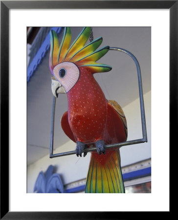 Painted Tropical Bird, St. Martin, Caribbean by Walter Bibikow Pricing Limited Edition Print image