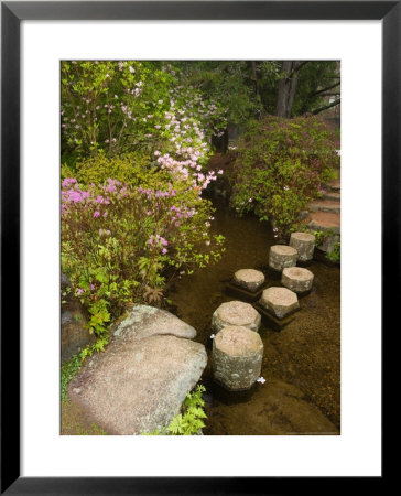 Asticou Azalea Gardens In Northeast Harbor, Mt. Desert Island, Maine, Usa by Jerry & Marcy Monkman Pricing Limited Edition Print image