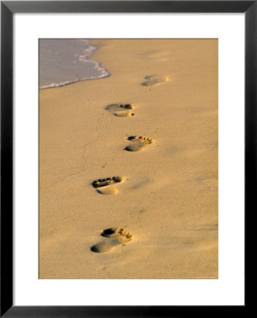 Footprints In Sand, Tropical Beach, Maldives by Jon Arnold Pricing Limited Edition Print image