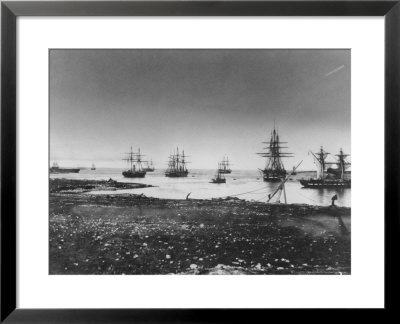 Crimean War, French Squadron, Entry Into The Port, 1855 by Jean Baptiste Henri Durand-Brager Pricing Limited Edition Print image