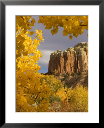 Yellow Leaves Of Fall Frame A Rock Formation, Santa Fe, New Mexico, Usa by Ralph Lee Hopkins Pricing Limited Edition Print image