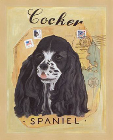 Cocker Spaniel by Claire Pavlik Purgus Pricing Limited Edition Print image