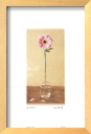 Pink Gerbera by Judy Mandolf Pricing Limited Edition Print image