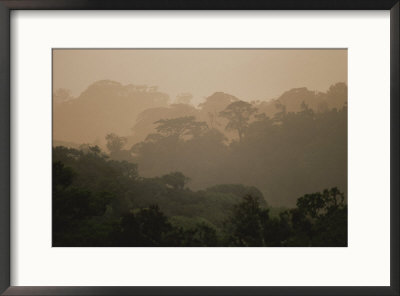 Layers Of Rain Forest Foliage Emerge From Mist, Costa Rica by Michael Melford Pricing Limited Edition Print image