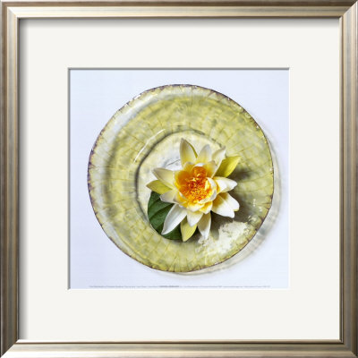 Lotus Flower by Cora Büttenbender Pricing Limited Edition Print image