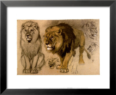 Study Of Lions by Ferdinand Henri Oger Pricing Limited Edition Print image