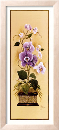 Orchid I by Constance Lael Pricing Limited Edition Print image