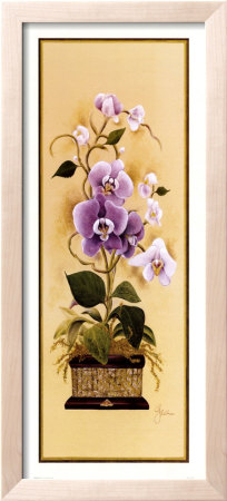 Orchid I by Constance Lael Pricing Limited Edition Print image