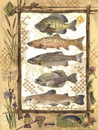Fish Sampler by Anita Phillips Pricing Limited Edition Print image