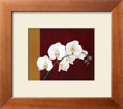 Orchid Study Ii by Ann Parr Pricing Limited Edition Print image