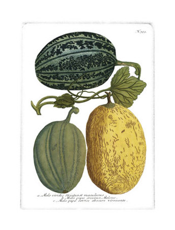 Antique Melons I by Weimann Pricing Limited Edition Print image