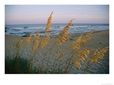 Beach Scene by Steve Winter Pricing Limited Edition Print image