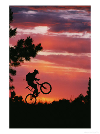 Silhouetted Biker Pulls A Wheelie At Twilight by David Edwards Pricing Limited Edition Print image