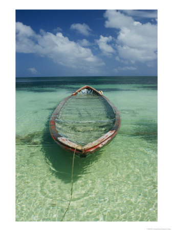 A Boat Submerged In Crystal Clear Water by Bill Curtsinger Pricing Limited Edition Print image