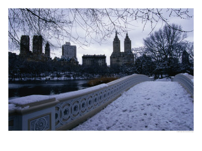 Central Park In Winter, New York City, New York, Usa by Angus Oborn Pricing Limited Edition Print image