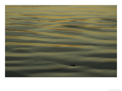 Sunlight Reflects Off Of Sand Ripples On A Tidal Flat In Tasmania by Jason Edwards Pricing Limited Edition Print image