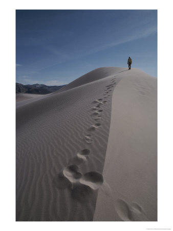 A Hiker Walks A Dune Ridge In The Mojave Desert by Gordon Wiltsie Pricing Limited Edition Print image