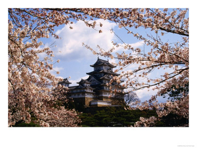 Himeji-Jo Castle And Cherry Blossom, Himeji, Japan by Martin Moos Pricing Limited Edition Print image