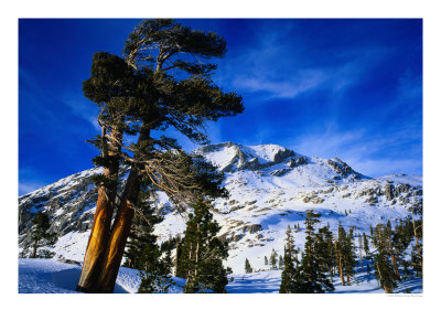 Snow Covered Mountain In Sierra Nevada, California, Usa by Rob Blakers Pricing Limited Edition Print image
