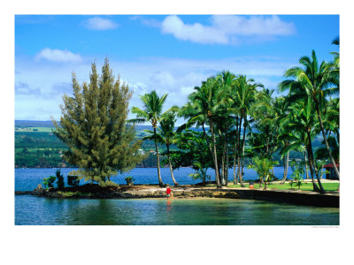 Coconut Island, A Small Island In Hilo Bay, Hawaii, Usa by Ann Cecil Pricing Limited Edition Print image