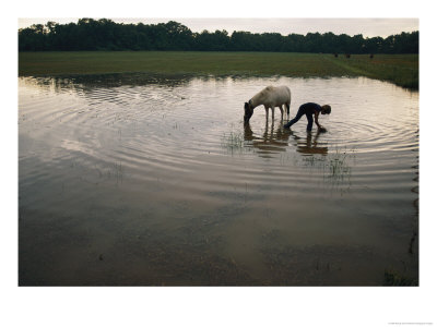 Mennonite Farm Child With Horse In A Water Hole by Randy Olson Pricing Limited Edition Print image