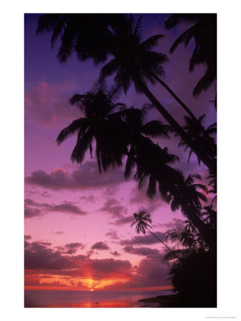Palm Trees With Sunset, Hawaii by Walter Bibikow Pricing Limited Edition Print image