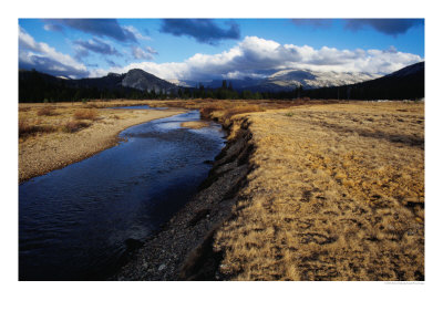 Toulumne Meadows, Mammoth Peak, Yosemite National Park, Usa by Richard Nebesky Pricing Limited Edition Print image
