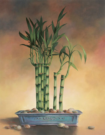 Bamboo Ii by T. C. Chiu Pricing Limited Edition Print image